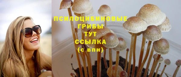 MESCALINE Алзамай
