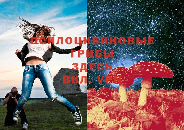 молекула духа Алексеевка