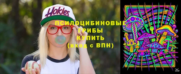 ГАЛЛЮЦИНОГЕННЫЕ ГРИБЫ Алексин