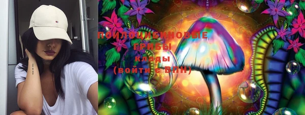 молекула духа Алексеевка