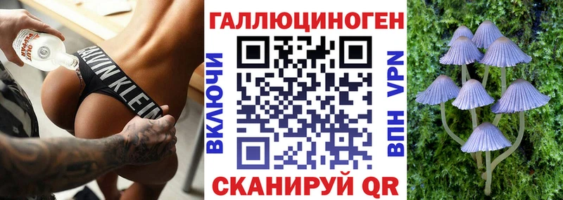 Псилоцибиновые грибы прущие грибы где найти наркотики Волоколамск