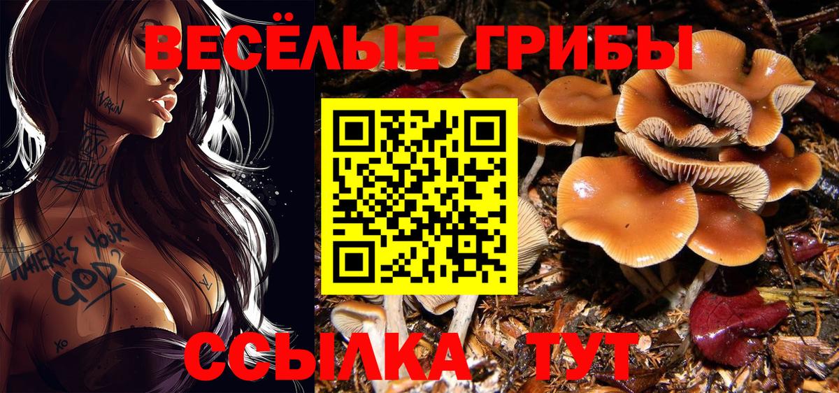 Псилоцибиновые грибы мицелий  Галлюциногенные грибы мицелий  Волоколамск  Вход с VPN 