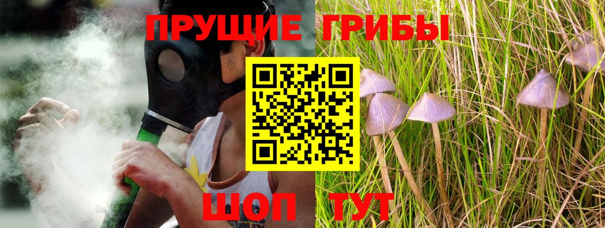 Псилоцибиновые грибы MAGIC MUSHROOMS Волоколамск