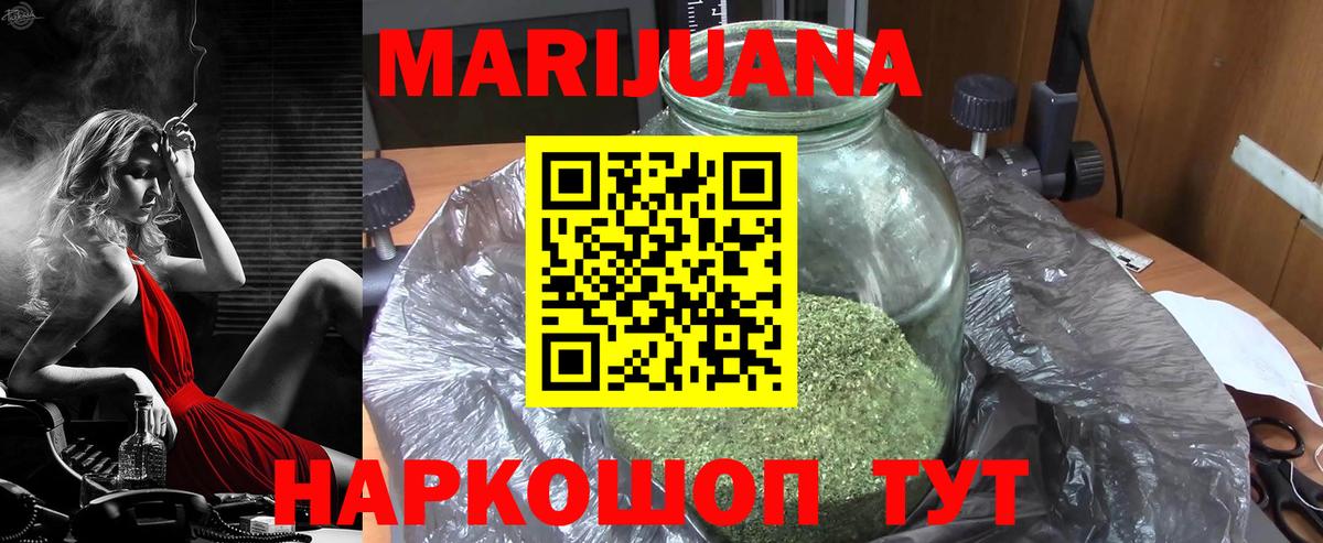 Бошки Шишки планчик Волоколамск